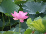 img0005.jpg
