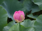 img0012.jpg