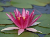 img0013.jpg