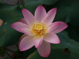 img0015.jpg