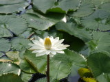 img0018.jpg