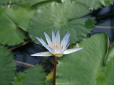 img0019.jpg