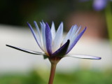 img0022.jpg