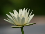 img0025.jpg