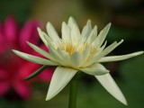 img0027.jpg