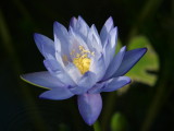 img0030.jpg