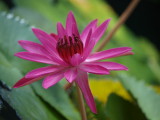 img0032.jpg