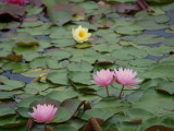 img0045.jpg