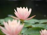img0049.jpg