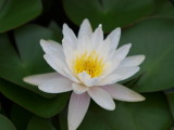 img0051.jpg