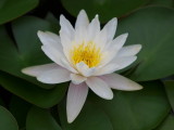img0052.jpg