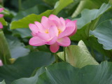 img0059.jpg