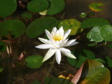 img0000.jpg