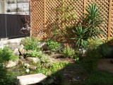 img0003.jpg