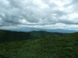 img0016.jpg