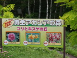 img0023.jpg