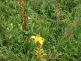 img0024.jpg
