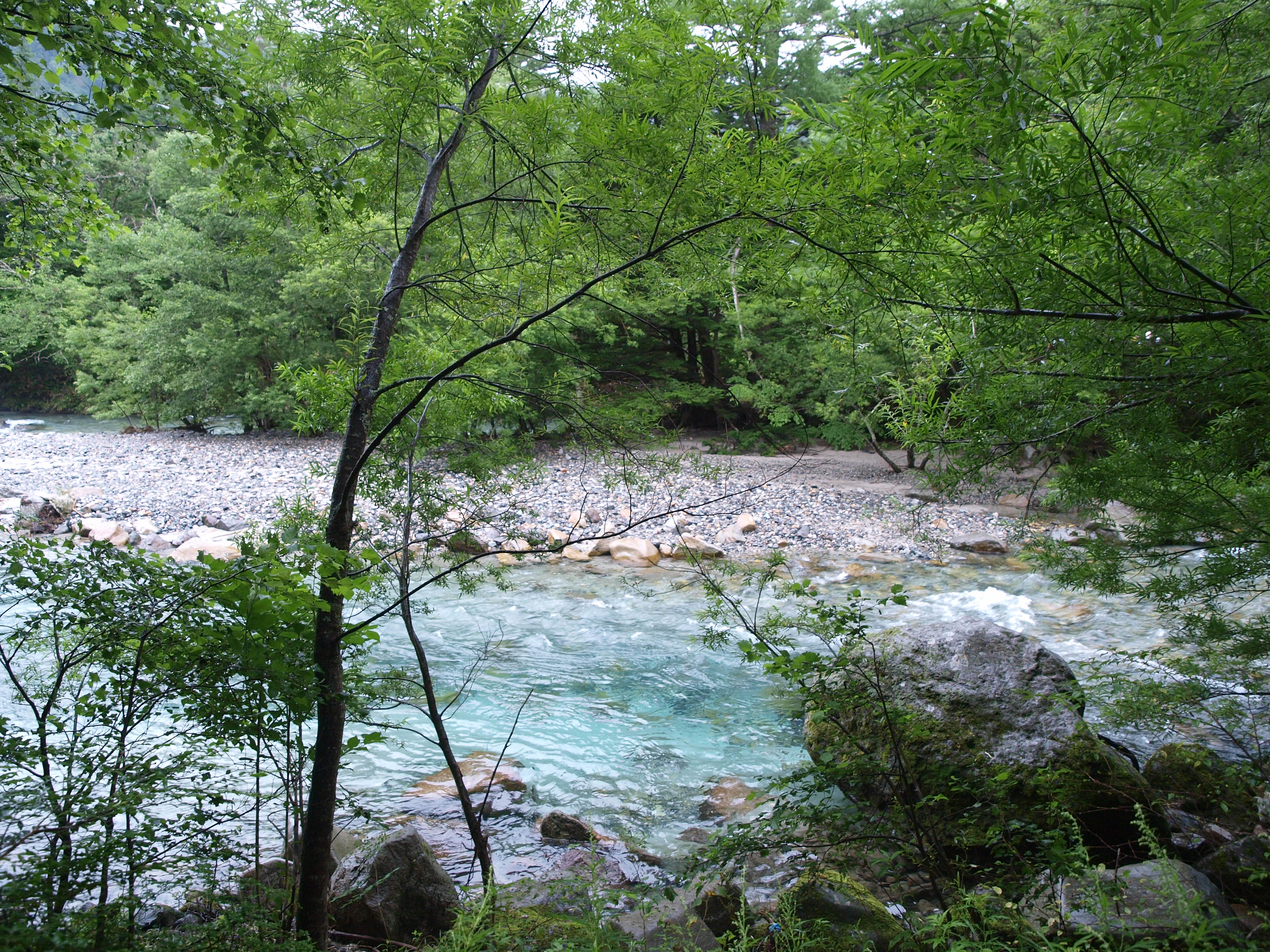 P8134475.JPG
