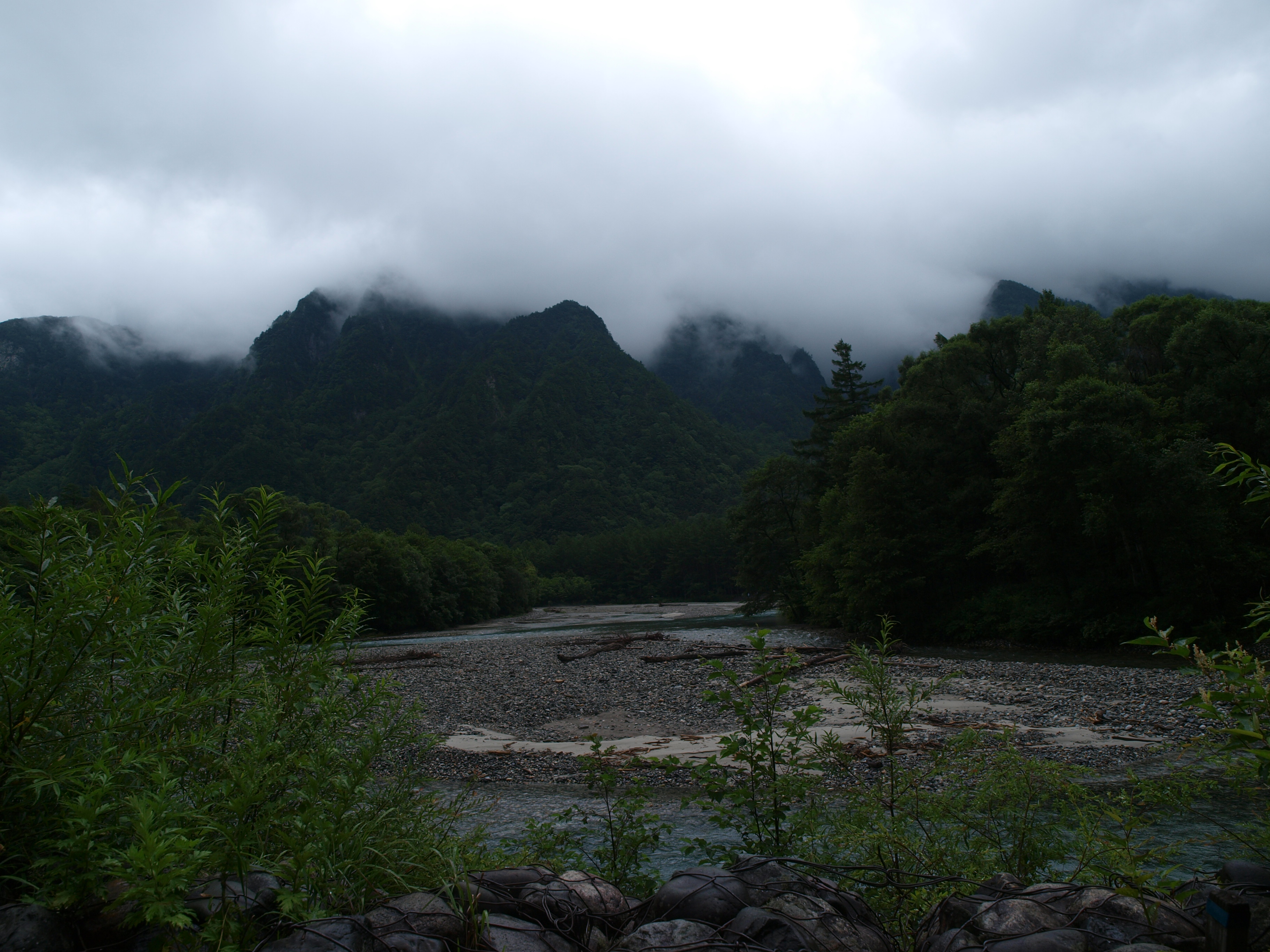 P8134484.JPG