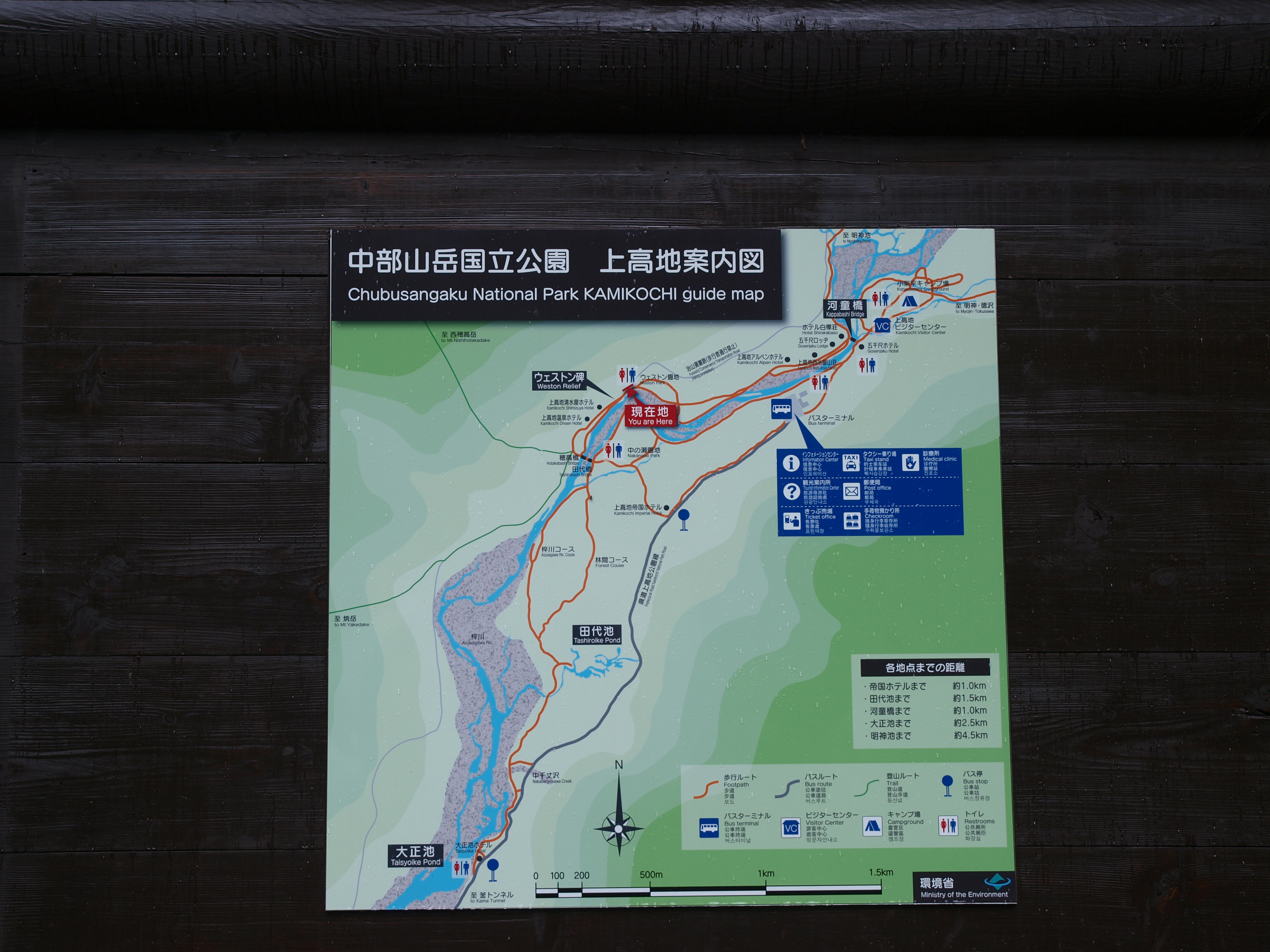 P8134485.JPG
