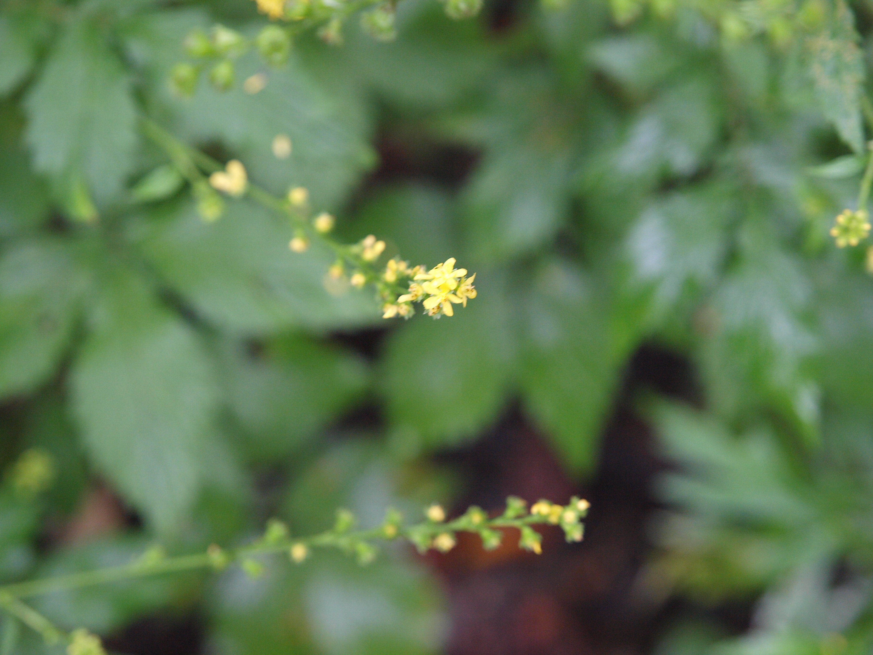 P8134496.JPG
