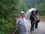 img0017.jpg