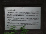 img0037.jpg