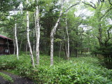 img0038.jpg