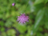 img0040.jpg