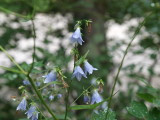 img0042.jpg