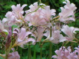 img0015.jpg