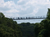 img0004.jpg