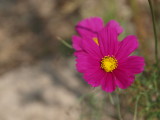 img0013.jpg