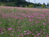 img0015.jpg