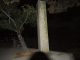 img0010.jpg