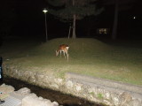 img0027.jpg