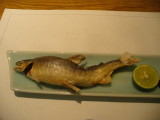 img0046.jpg