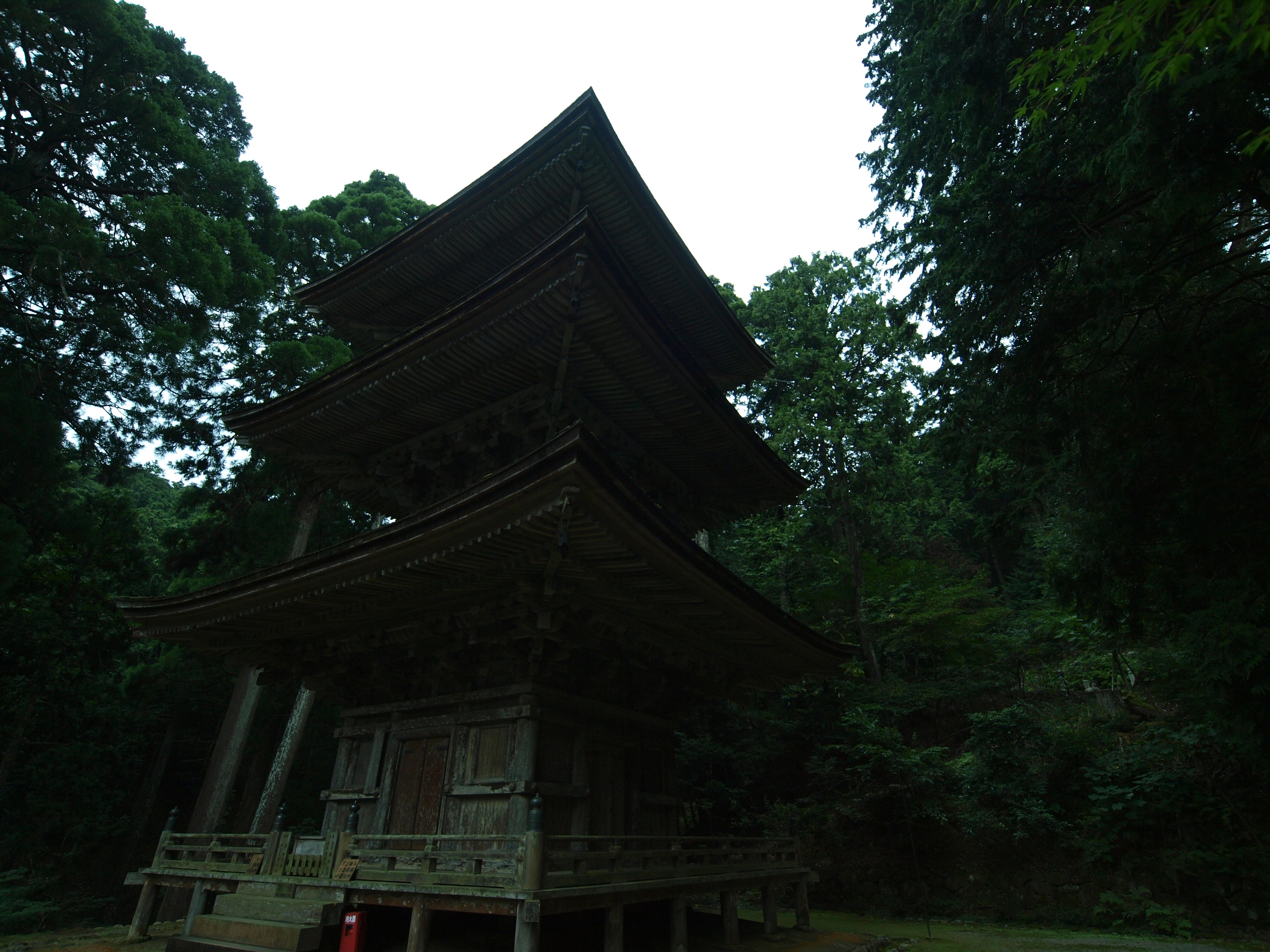 P9224714.JPG