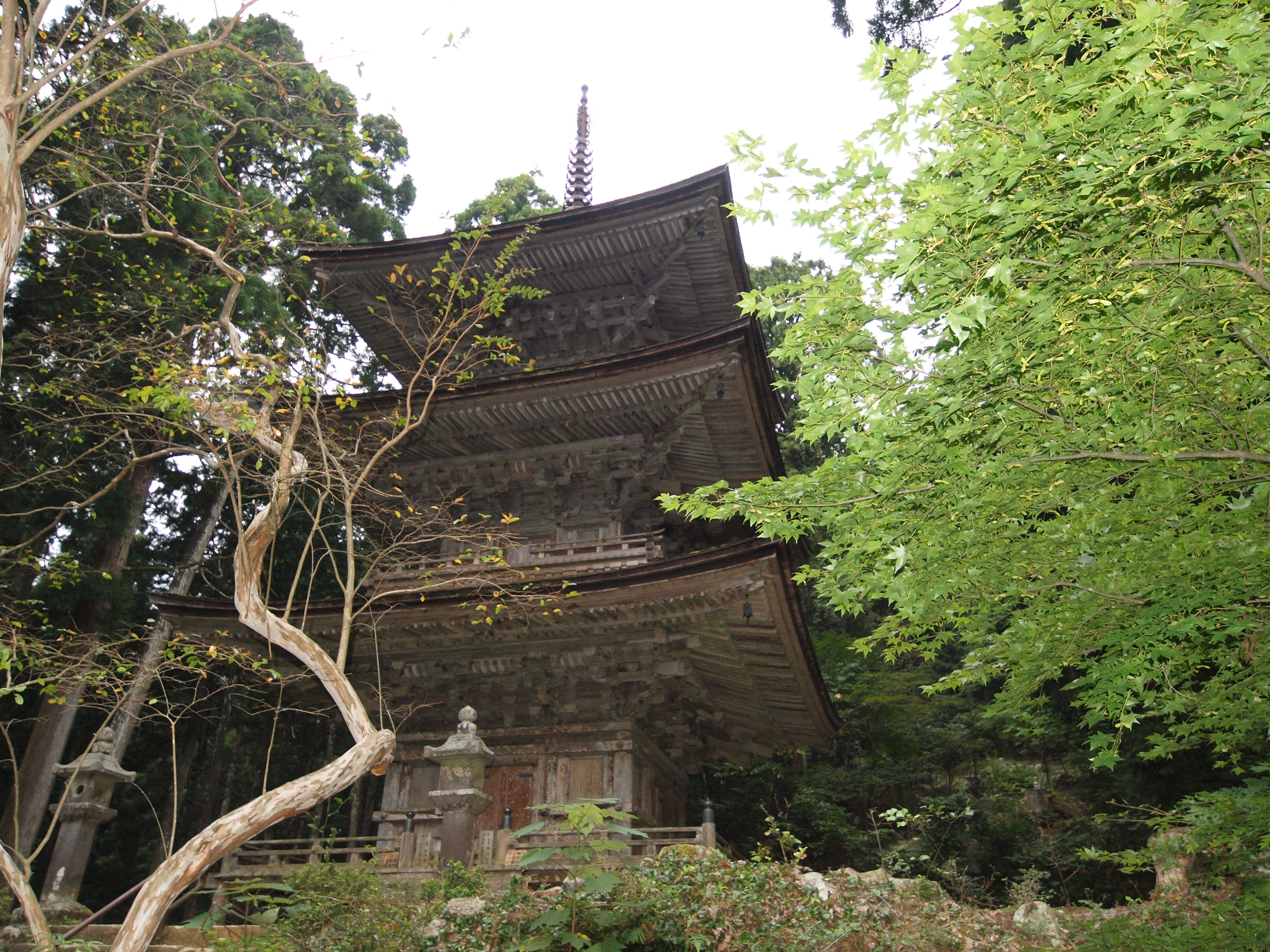 P9224716.JPG