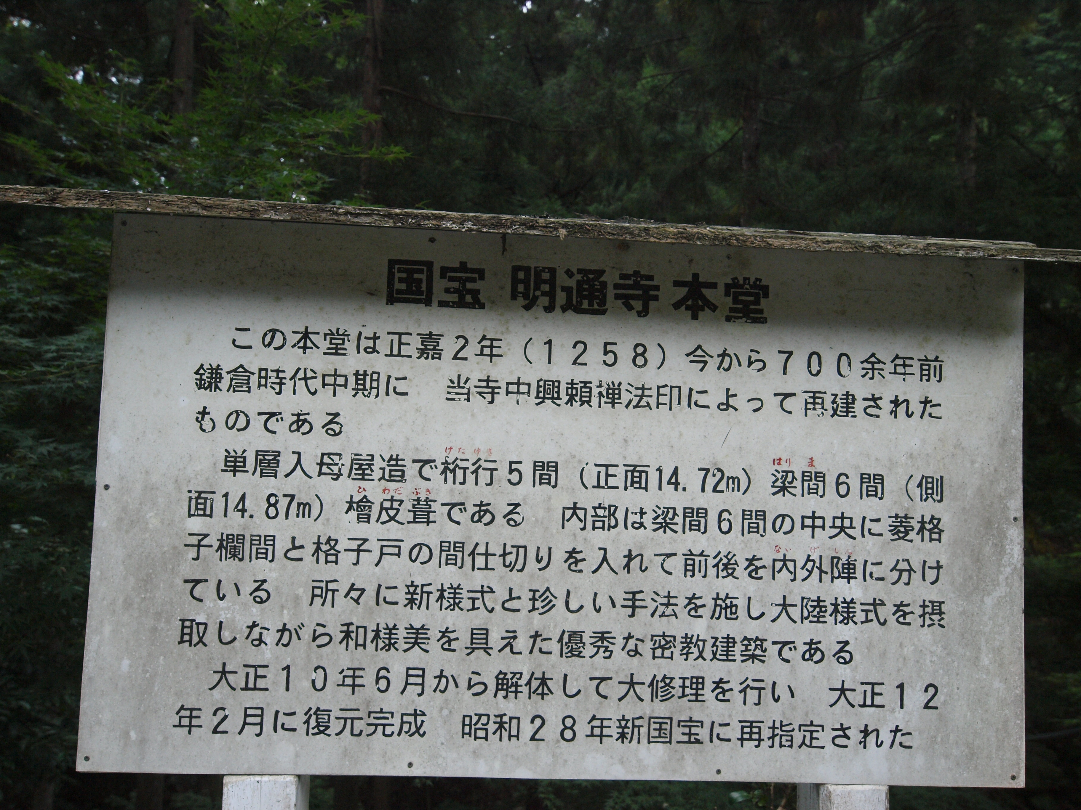 P9224719.JPG
