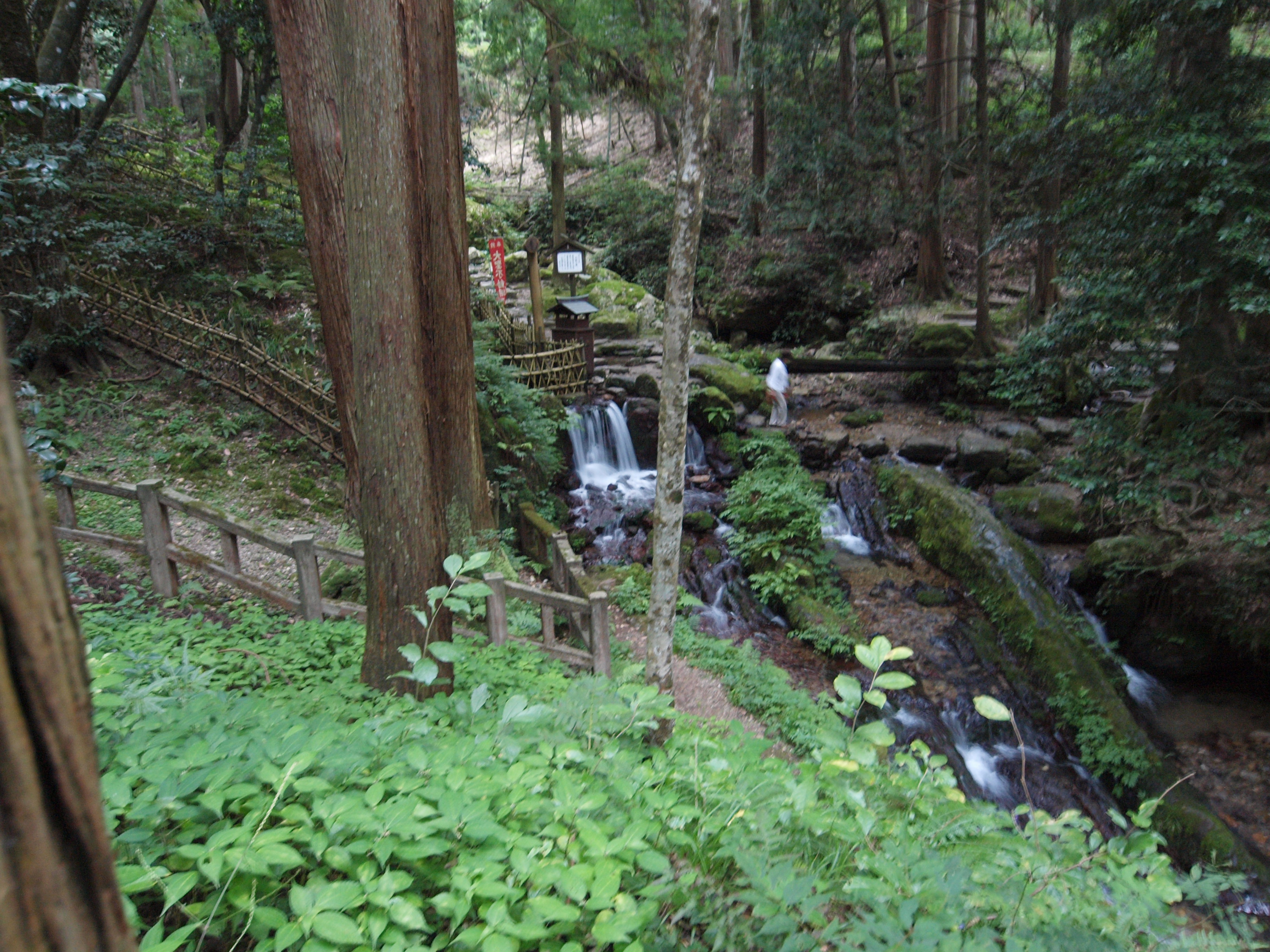 P9224728.JPG