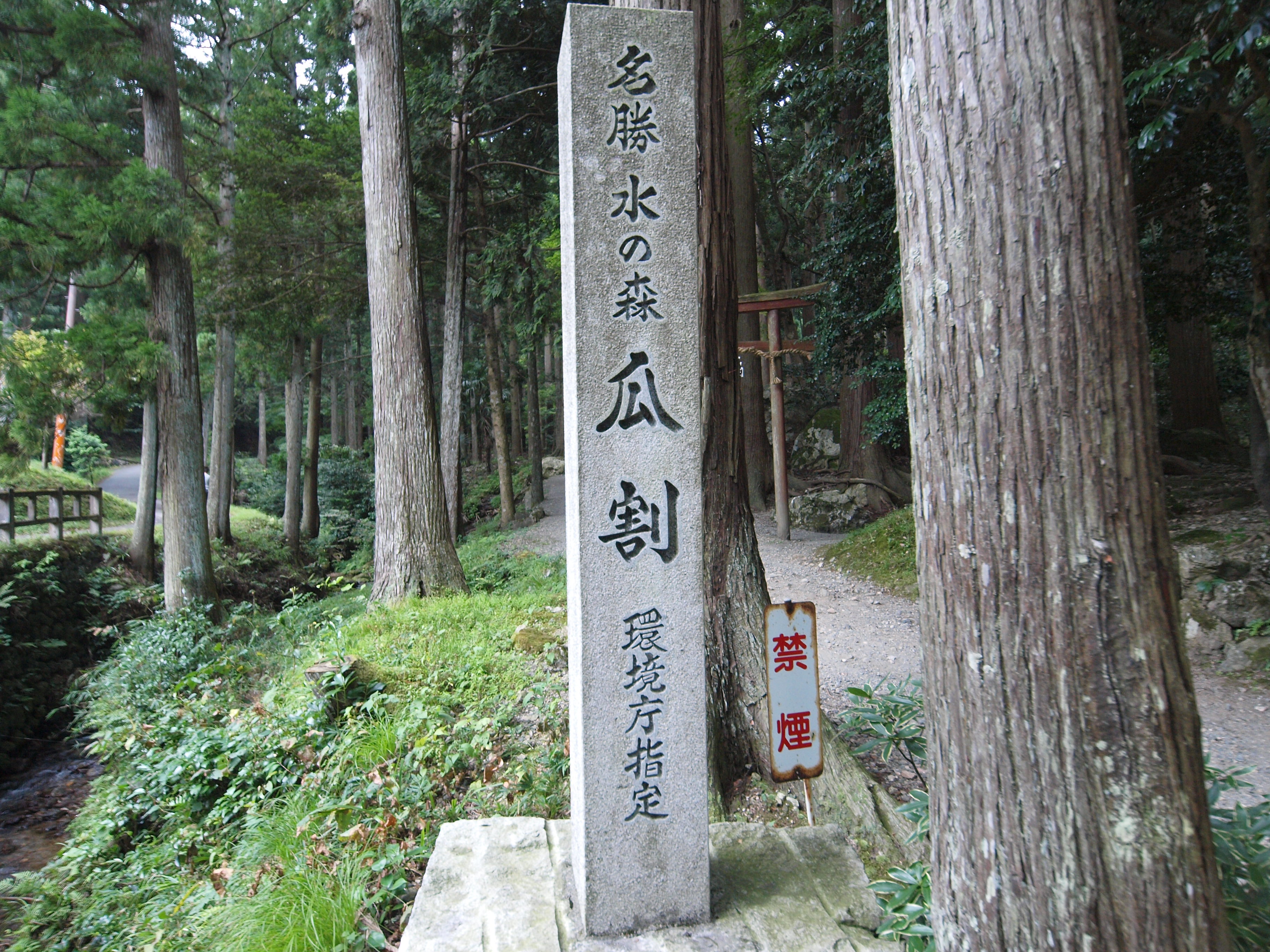 P9224729.JPG