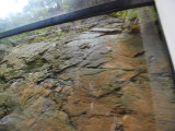 img0006.jpg