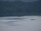 img0012.jpg