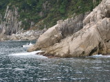 img0056.jpg