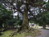 img0092.jpg