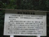 img0100.jpg