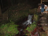 img0115.jpg