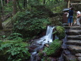 img0116.jpg