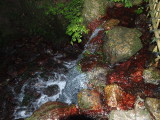 img0117.jpg